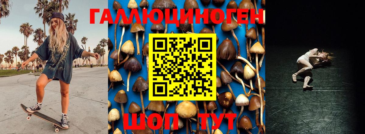 Псилоцибиновые грибы Psilocybine cubensis  Галлюциногенные грибы ЛСД  Наро-Фоминск  Вход с VPN 